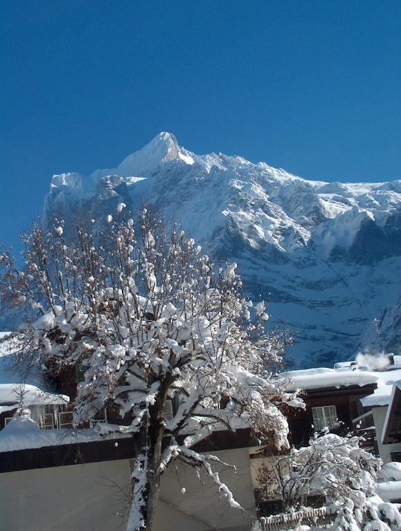 Ferienwohnungen Chalet Hohturnen Grindelwald Zewnętrze zdjęcie