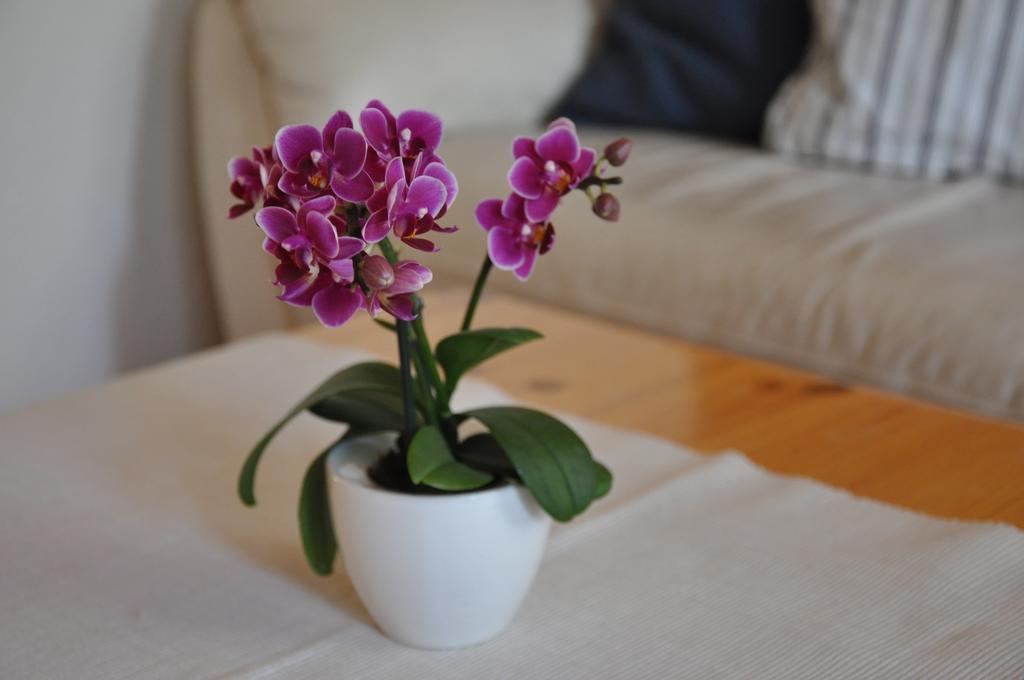 Ferienwohnungen Chalet Hohturnen Grindelwald Zewnętrze zdjęcie
