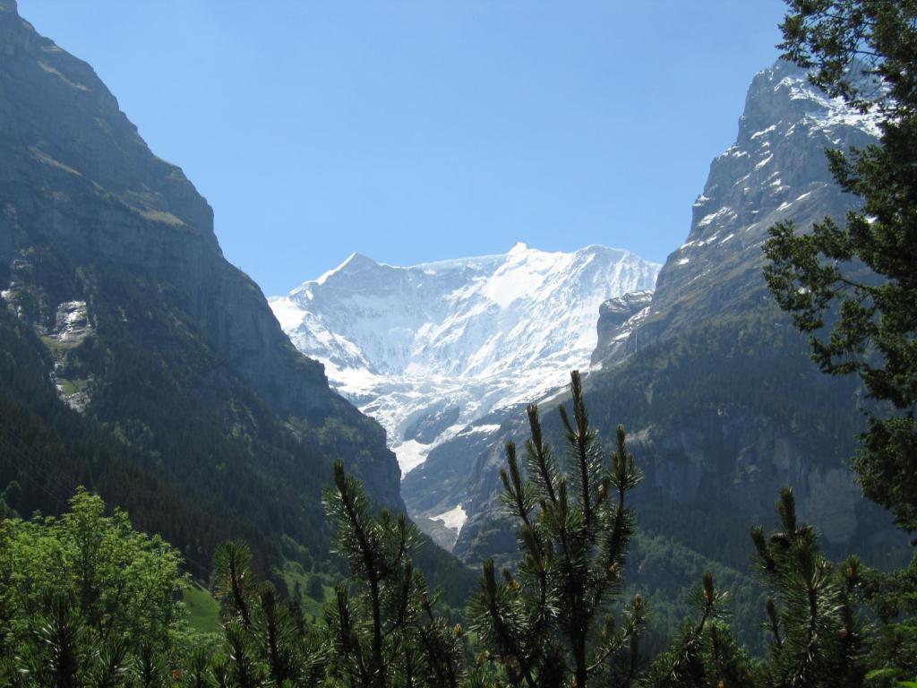 Ferienwohnungen Chalet Hohturnen Grindelwald Zewnętrze zdjęcie